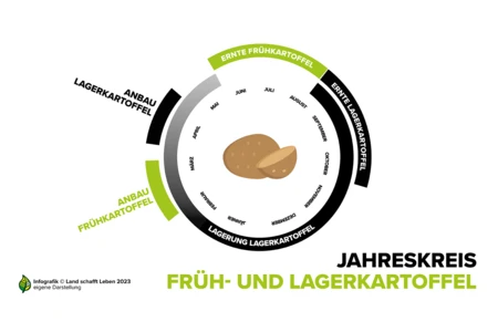 Infografiken Zur Kartoffel I Land Schafft Leben