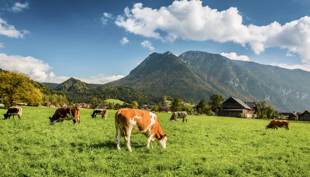 Landwirtschaft Und Klimawandel Land Schafft Leben