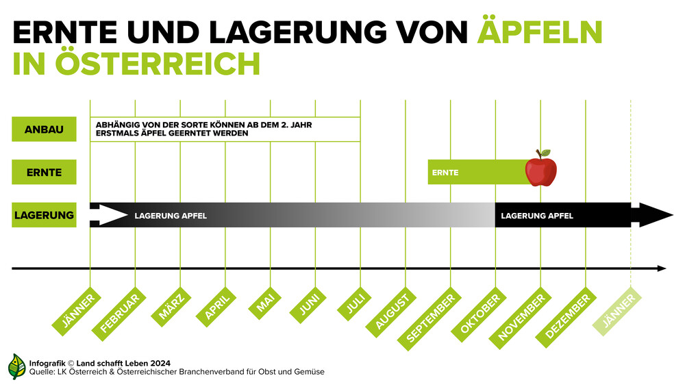 Saisonkalender Apfel | © Land schafft Leben