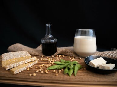 unterschiedliche Sojaprodukte wie Tempeh, Sojasauce, Tofu, Edamame und Sojadrink | © Land schafft Leben